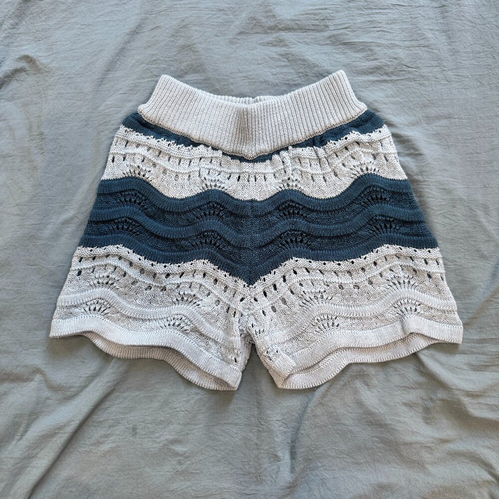 NWT Anthropologie Blue Shorts